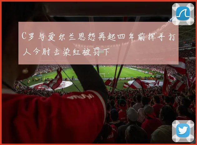 C罗与爱尔兰恩怨再起四年前挥手打人今肘击染红被罚下