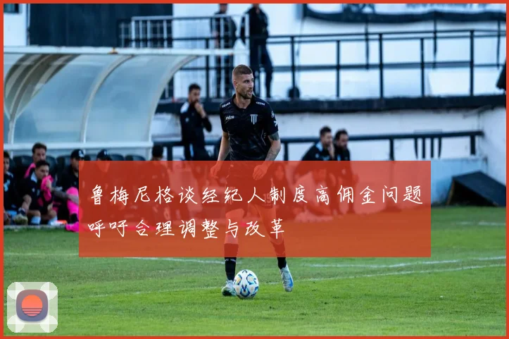 鲁梅尼格谈经纪人制度高佣金问题呼吁合理调整与改革