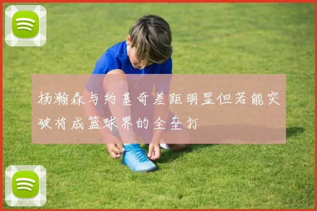 杨瀚森与约基奇差距明显但若能突破将成篮球界的全垒打