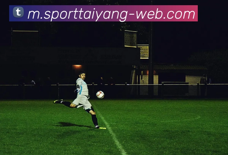 太阳城平台生态图