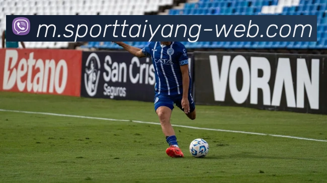 太阳城APP 封面图